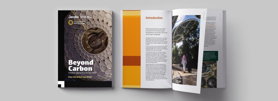 Beyond Carbon Report