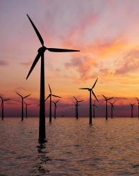 Offshore Wind Turbines Farm At sunset