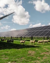 Lodestone Energy’s Solar Farm Program, courtesy of Lodestone