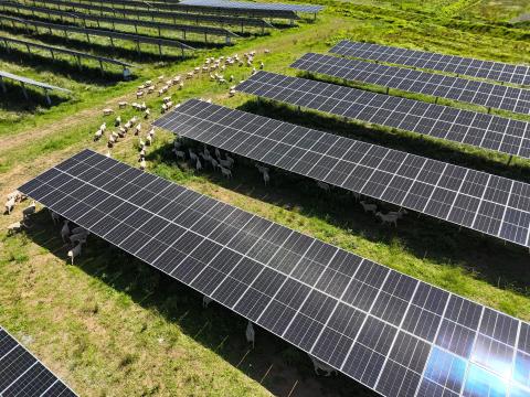 Lodestone Energy’s Solar Farm Program, courtesy of Lodestone