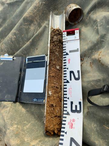 Soil sample obtained during surveys