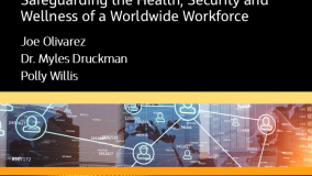 Safety Without Borders: Safeguarding the Health, Security and Wellbeing of a Worldwide Workforce