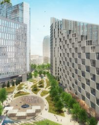 The Stitch Vision Study